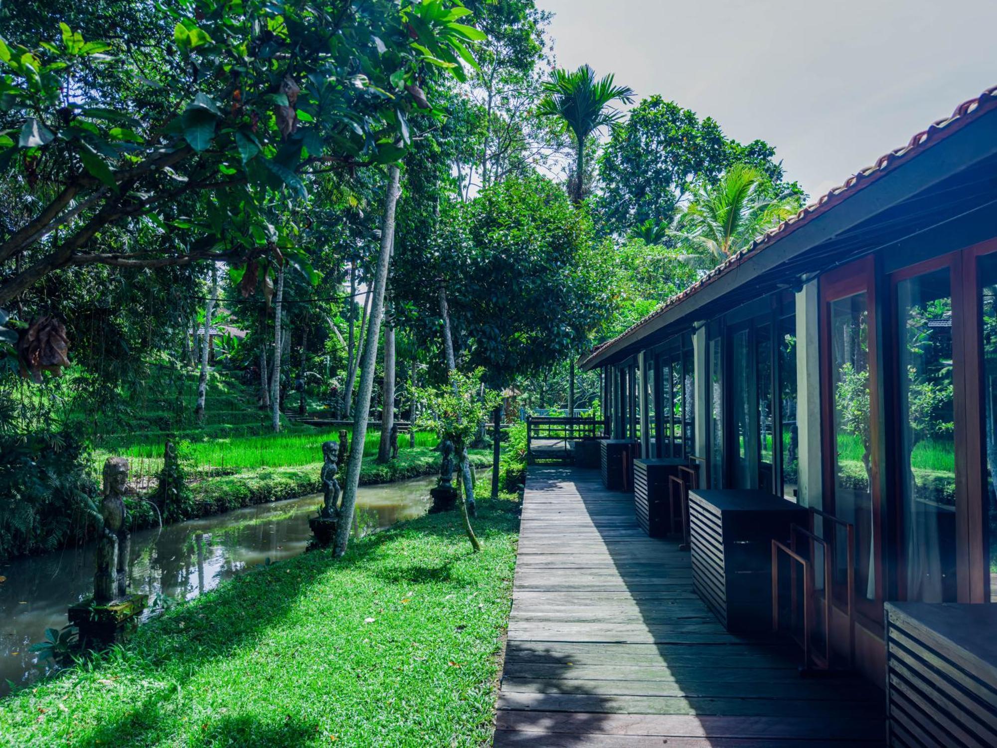 Ubud Sari Health Resort Eksteriør billede